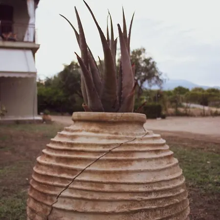 Eirini Kasimiotou Agios Andreas (Messenia)