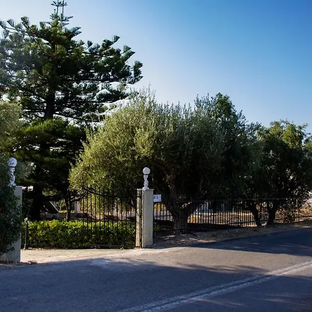 Eirini Kasimiotou Agios Andreas (Messenia)