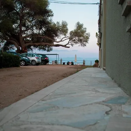 Eirini Kasimiotou Agios Andreas (Messenia)