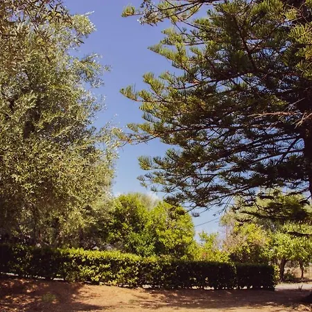 Eirini Kasimiotou * Agios Andreas (Messenia)