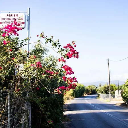 Eirini Kasimiotou * Agios Andreas (Messenia)