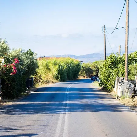 Eirini Kasimiotou * Agios Andreas (Messenia)